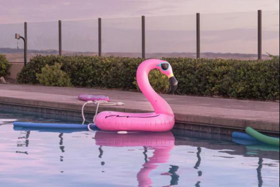 Pensez à une pompe à chaleur pour votre piscine